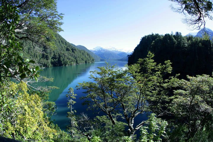 Bosque de Alerces Milenarios - Parque Nacional Los Alerces image