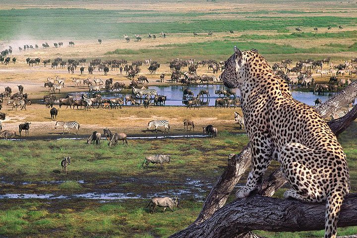 3 Day Joined Group Mid-range Safari Serengeti and Ngorongoro National Park image