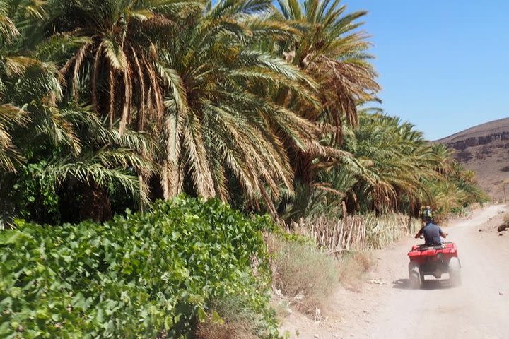 Half-Day Guided Quad Tour from Ait Ben Haddou to Fint Oasis image