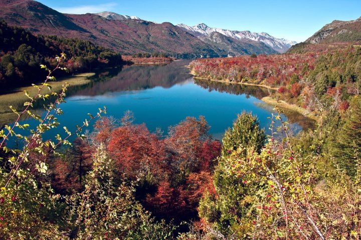 Lake Moreno or Lake Gutiérrez Kayak Tour from Bariloche image