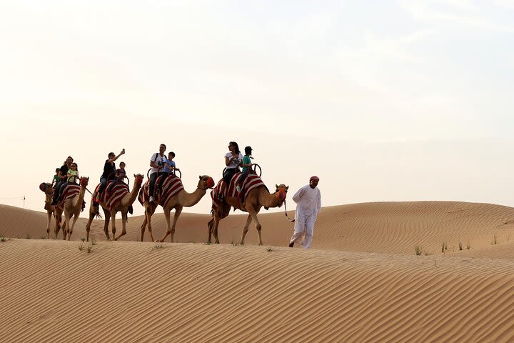 Sunset Camel Trek & Red Dunes Safari with BBQ at Al Khayma Camp From Dubai image