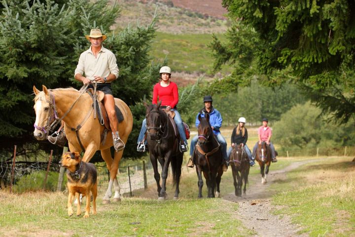 Queenstown: Walter Peak Horse Trek & TSS Earnslaw Cruise image