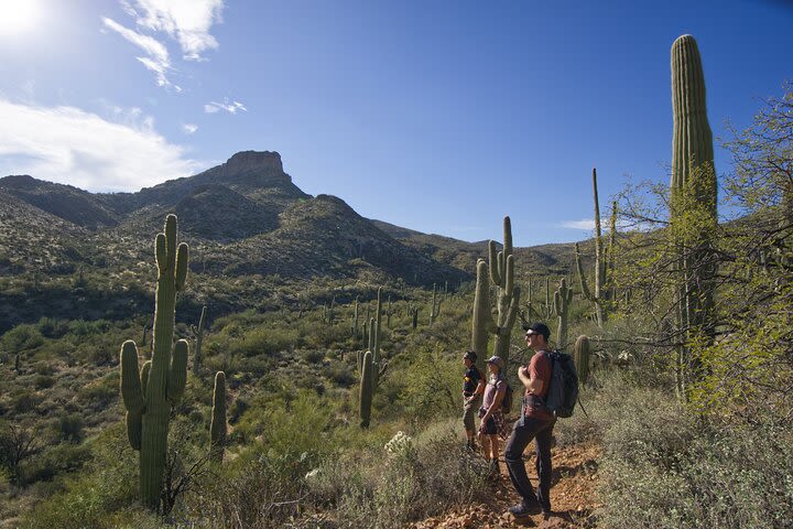 Incredible Hidden Valley Petroglyph Hiking Adventure in the Sonoran Desert image