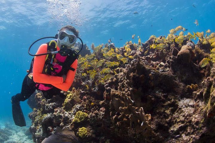 Underwater Museum & Reef Dive in Cancun image