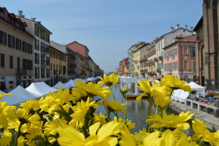 Navigli guided walking experience image