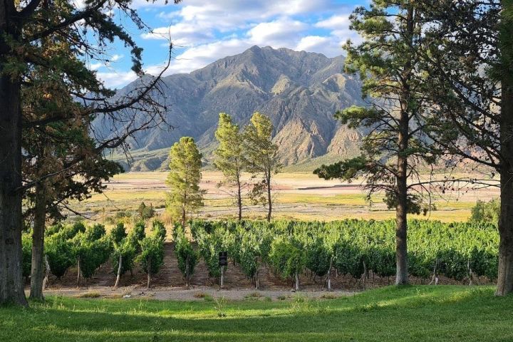 Uco Valley Wine, Culture & History Tour image