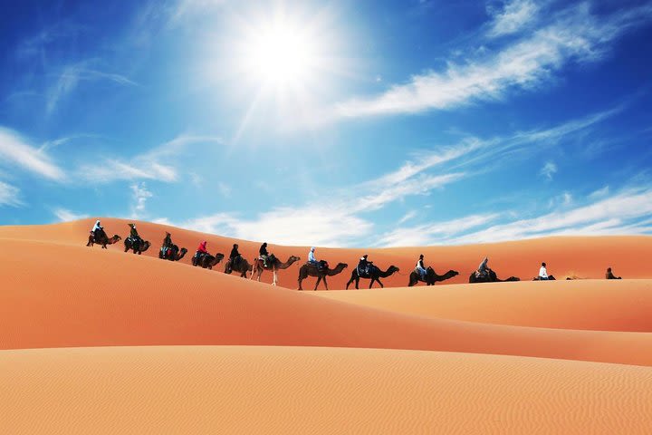 Camel Trekking and Night Camping in Merzouga Desert, Morocco image