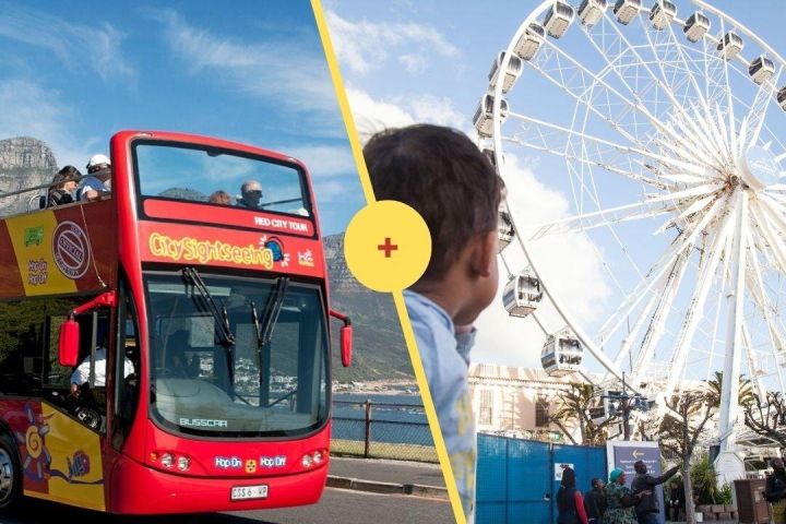 Cape Town Hop-On Hop-Off Bus Tour and Cape Wheel Combo image