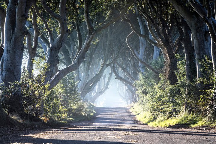 Game of Thrones Premium Tour from Belfast including Giants Causeway image