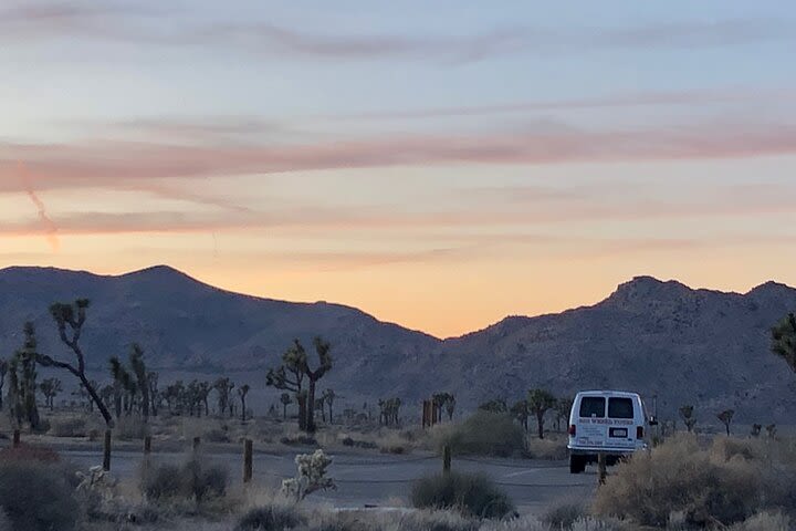 Joshua Tree National Park Driving Tour  image