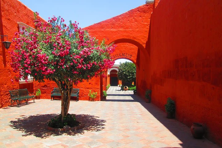 Santa Catalina Monastery Tour image