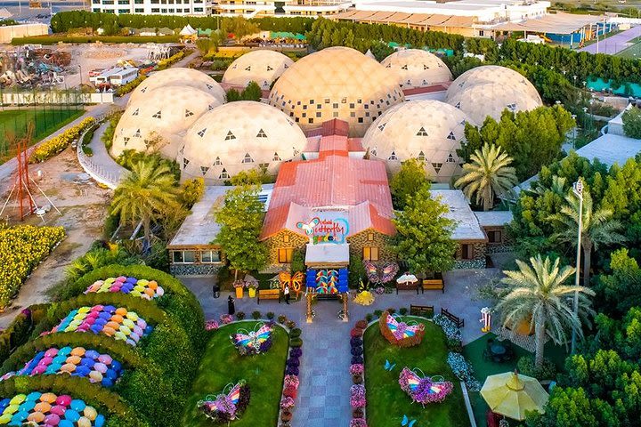 Global village & Butterfly Garden Ticket with Transfer  image