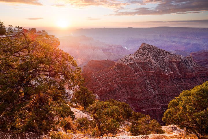 Grand Canyon Experience Tour from Flagstaff image