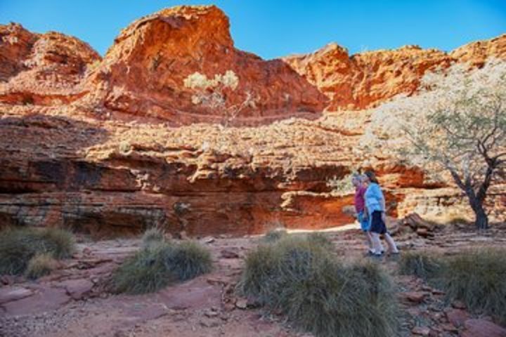 Coach Transfer from Ayers Rock (Uluru) to Kings Canyon image