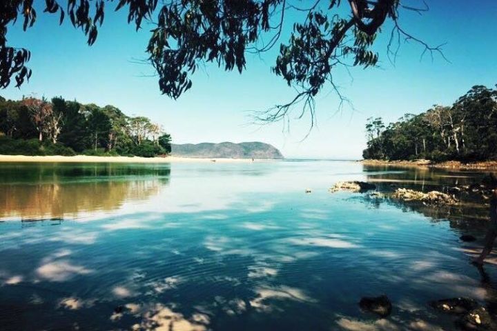 Bruny Island Full-Day Tour from Hobart image