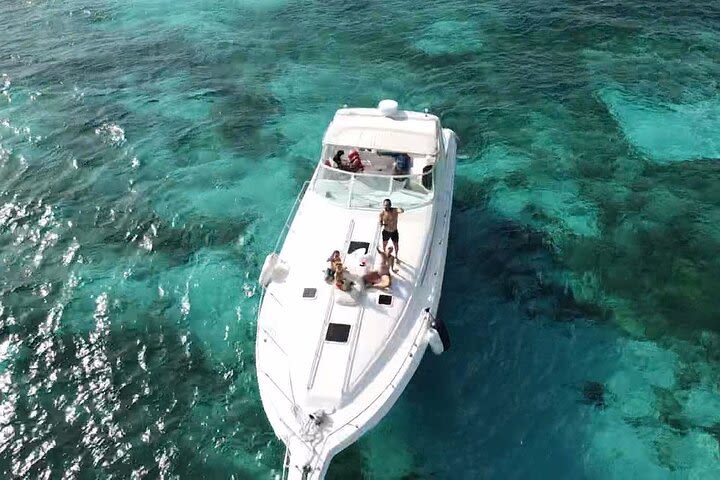 Private Yacht 46ft Sea Ray Snorkel up to 15 pax 23P2 image