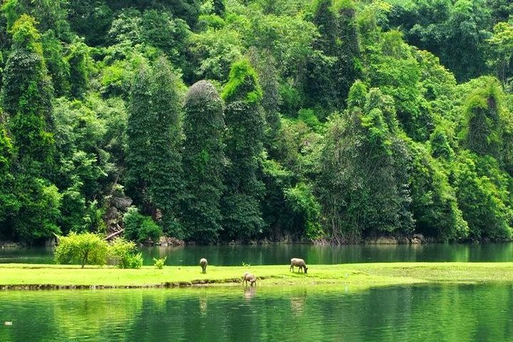 2 Day Tour Ba Be Lake from Hanoi: Trekking, Boat trip, Homestay, Cave, Waterfall image