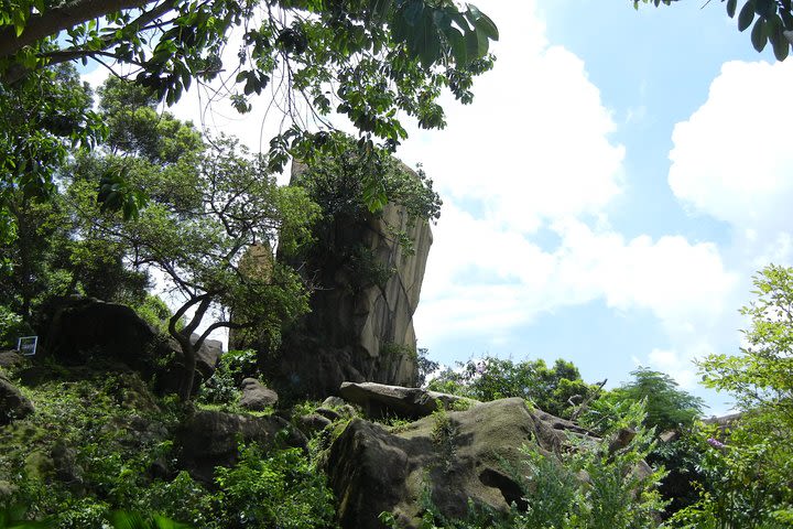 4-Hour Small Group Kowloon Sightseeing Tour image