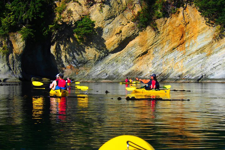 Half-Day Sea Kayaking Trip Near Olympic National Park image