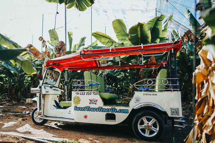 Banana Plantation and a Farm by Tuk Tuk from Costa Adeje image