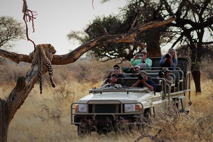 Kruger National Park Best Tour image