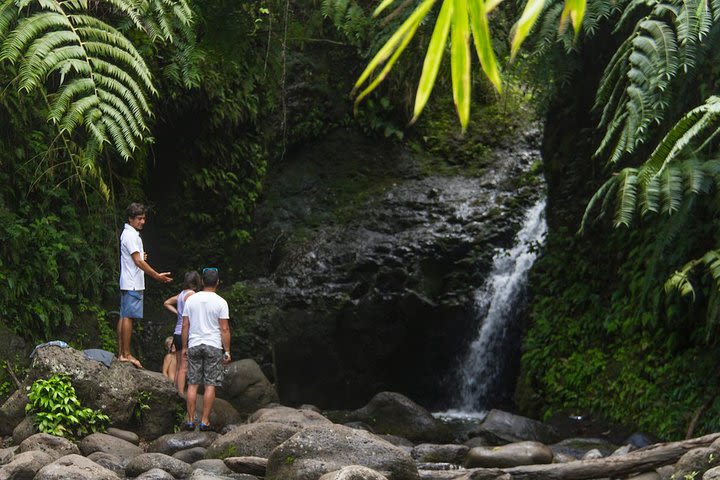 Oahu friendly hiking experience  image