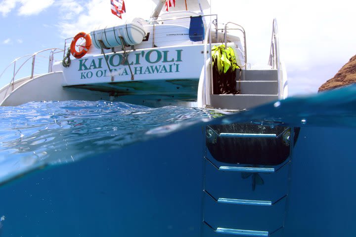 Oahu Catamaran Cruise: Wildlife, Snorkeling and a Hawaiian Meal image