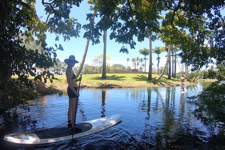 Wailoa River to King Kamehameha Statue SUP Adventure image