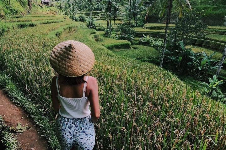 Ubud Nature and Culture Tour image