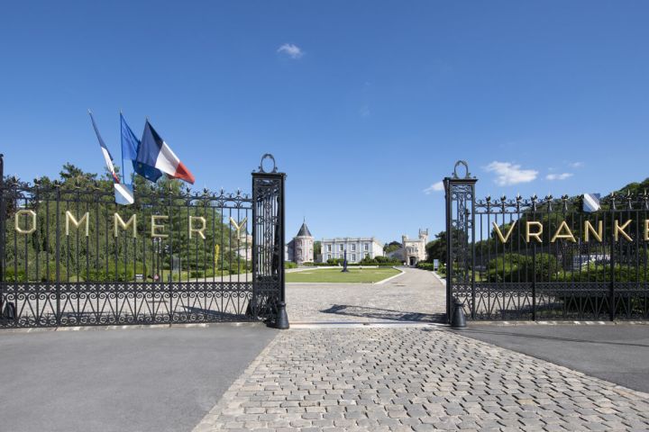 Champagne Tour visit 2 local wineries From Reims (shared) image