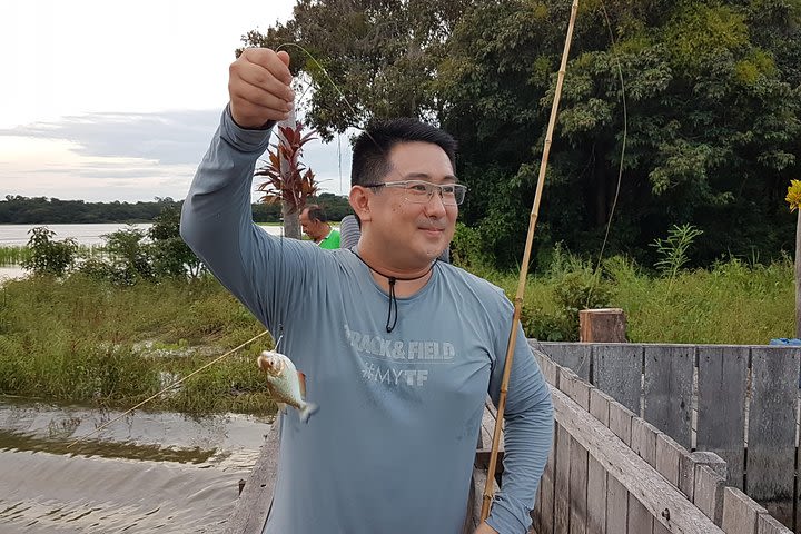 Solimoes River Piranha Fishing and Alligator Watching Tour image