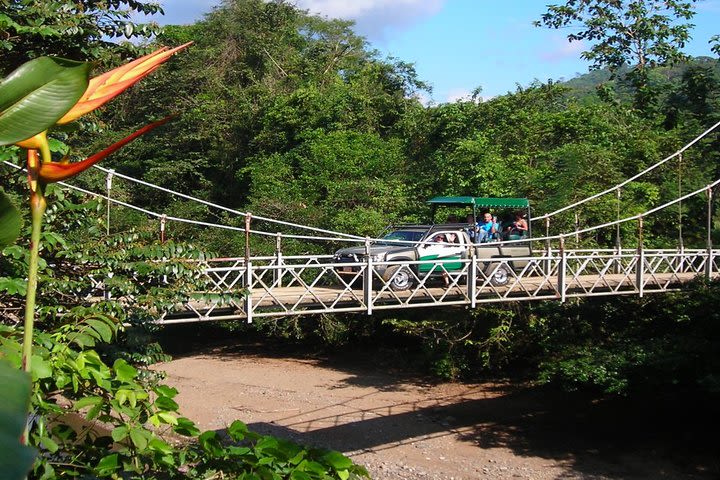Combo 4X4 Safari Car + Rainforest & Waterfalls Tour  image