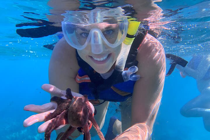 Turtle Town Snorkel with Photo and Video image