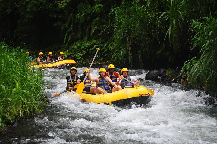 Telaga Waja Rafting and Bali Swing Packages image