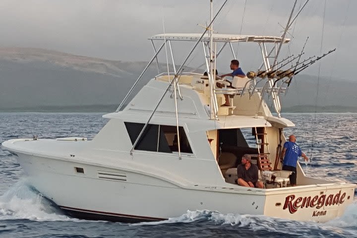 Deep Sea Full Day Exclusive Fishing Charter image