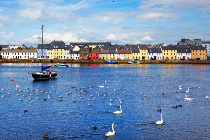 Galway Highlights & Claddagh Village Walking Tour image