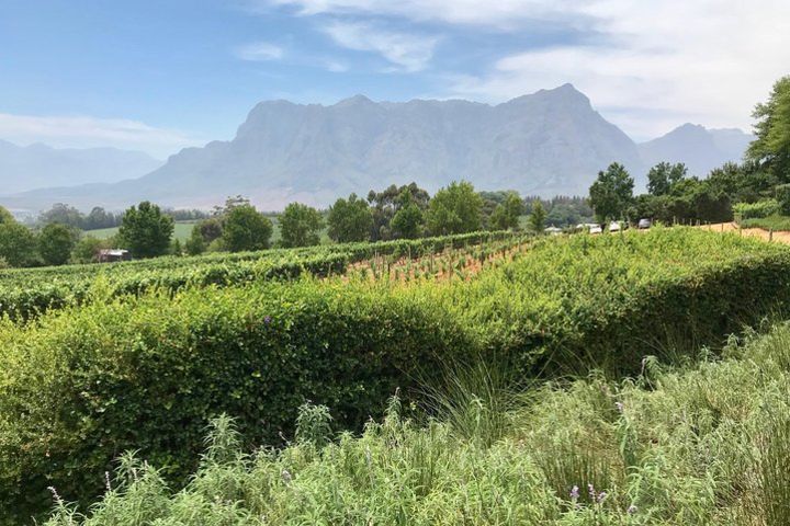 Exploring the Winelands Hidden Gems image