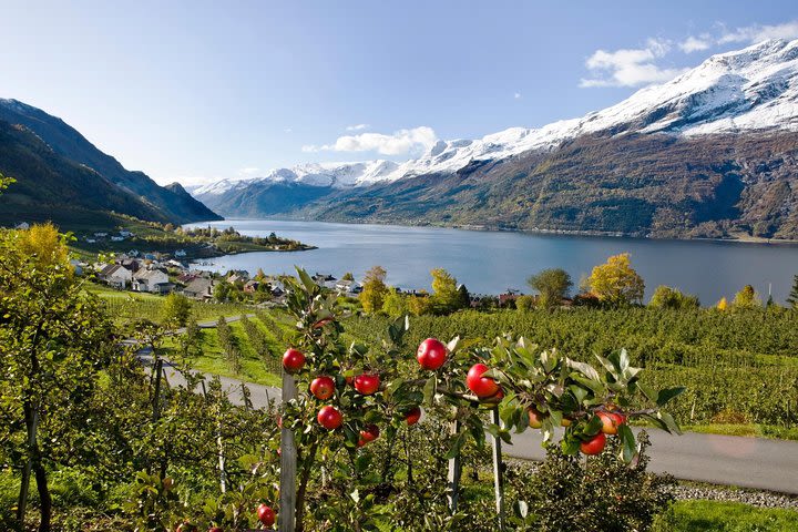 Rosendal & Hardangerfjord Cruise - Self guided day tour image