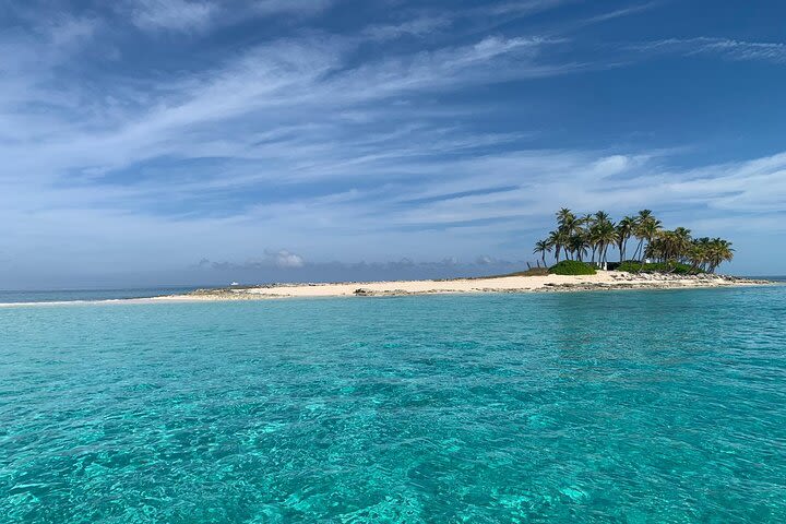 Snorkel with Turtles, Rose Island, Gilligan's Island and Fishing Tour image