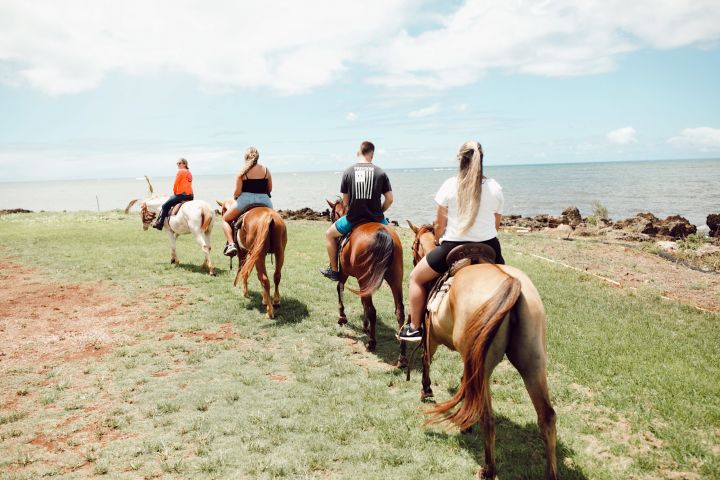 One Mile Beachfront Trail Ride (North Shore) image