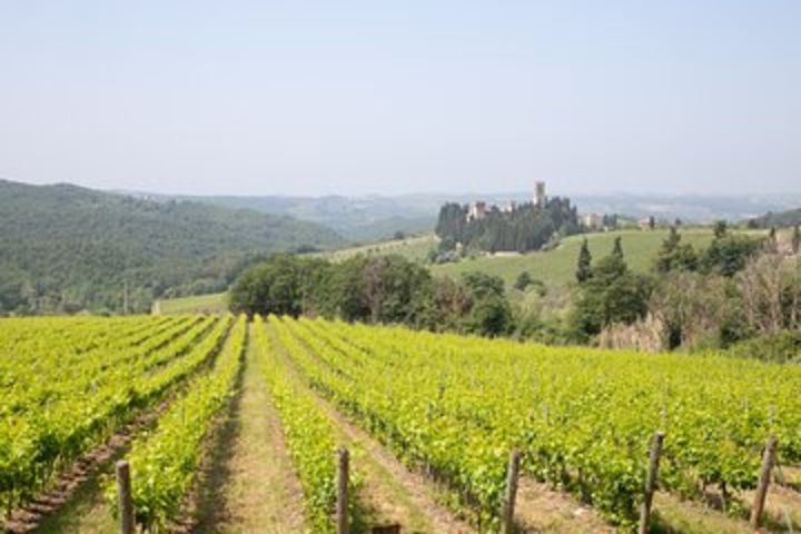 Small Group Chianti at Sunset Wine Tasting Tour from Florence image