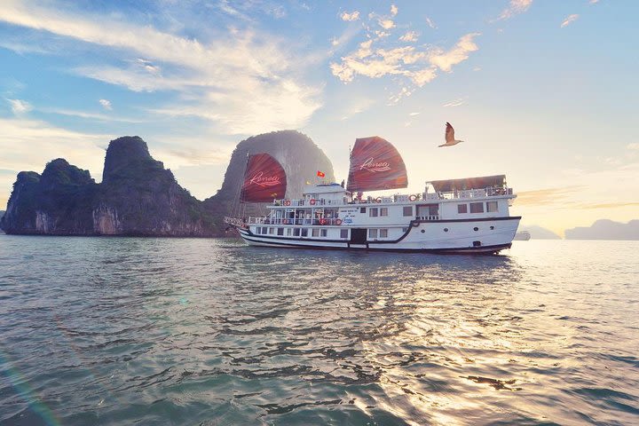 Bai Tu Long Bay cruise 2 days 1 night with kayaking, limousine bus transfer  image