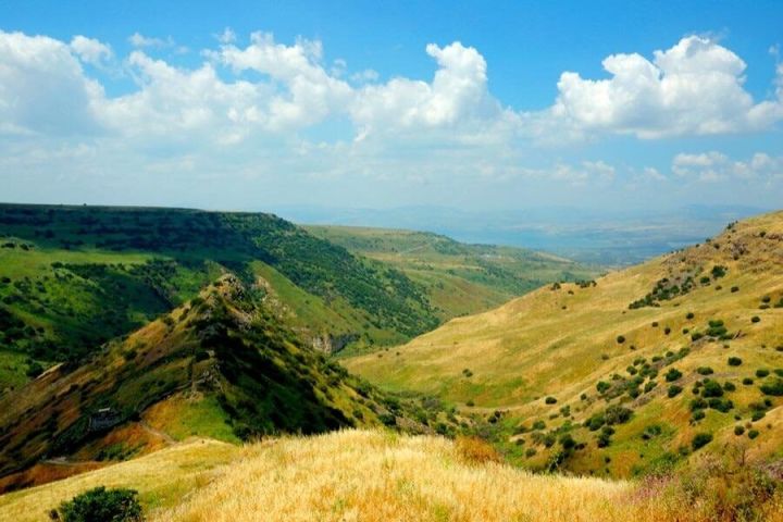 Jerusalem to Golan Heights Day Trip image