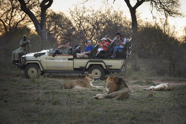 7-Day Luxury Safari: Kapama Kruger & Victoria Falls image