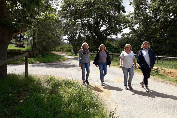 Overberg Wine Walk 1 image