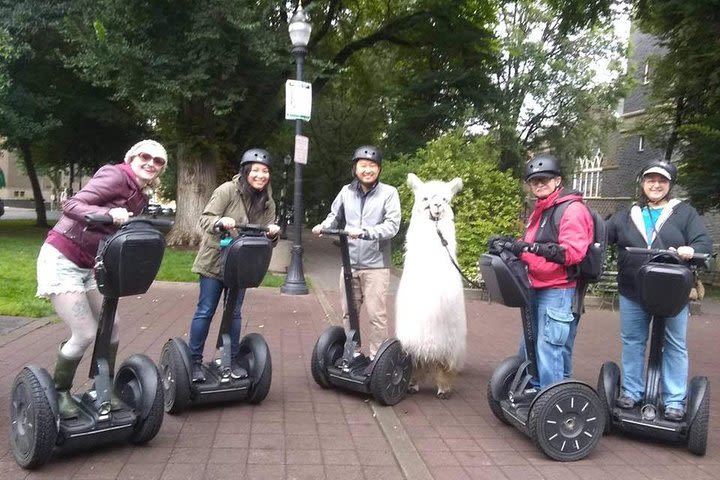 2 Hour Guided Segway Tour image