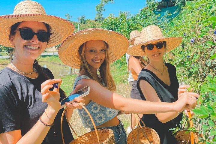 Organic Farm Cooking Class in Chiang Mai image