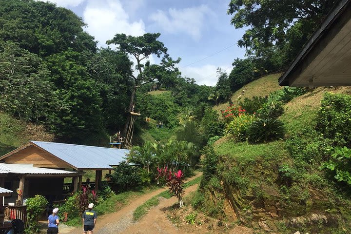 Zipline sloth park Suspension Bridges and Hiking Adventure  image