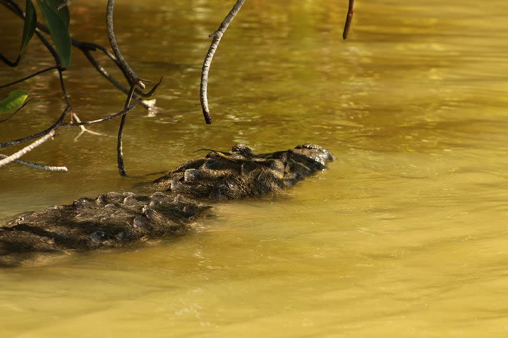 Private Yucatan Discovery Tour image