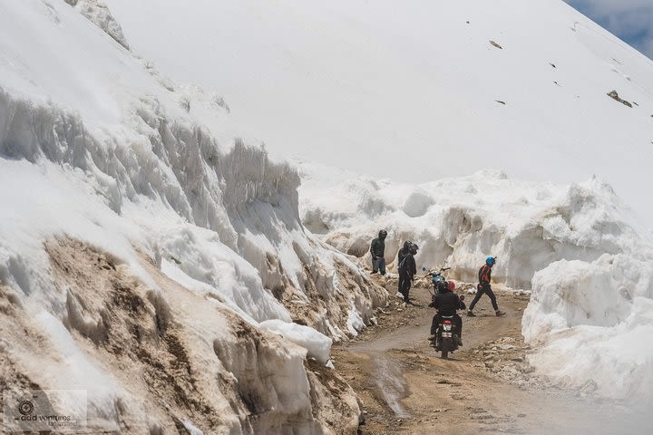 LBE | Ultimate Ladakh Experience I | July 2020 image